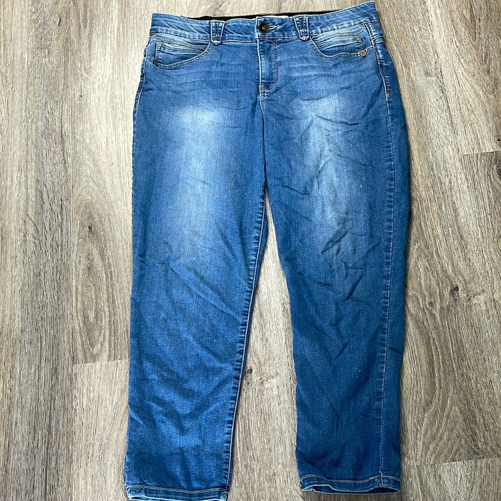 Democracy Artisan Crafted Jeans Size 14